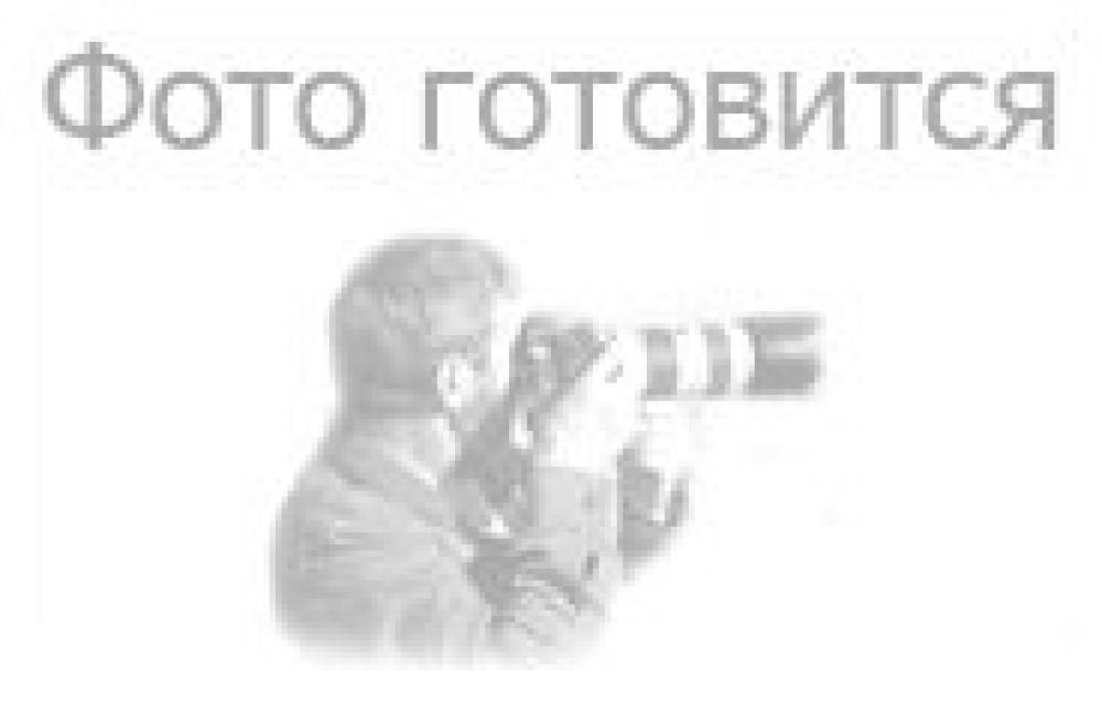продажа Nikon Цифровые фотоаппараты Coolpix S9300 Blue в интернет магазине